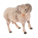 Kids Story Telling Animal Figure Showcase Display Model Educational Toy - Male Sheep
