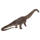 Kids Story Telling Animal Figure Showcase Display Model Educational Toy - Apatosaurus