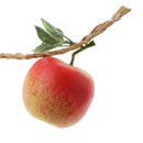 4pcs Foam Apple Model Toys Store Cabinet Decorative Fruits Kids Role Play Toy