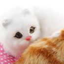 Lovely Cloth Pad Cat Doll Kids Toy for Home Ornament