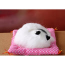 Lovely Cloth Pad Cat Doll Kids Toy Home Ornament Office Decor