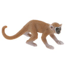 Realistic Squirrel Monkey Wild Animal Figurine Model Action Figure Kids Toy