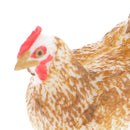 Realistic Hen Chicken Farm Yard Animal Figurine Model Action Figure Kids Toy