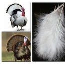 White 2 Rings DREAM CATCHER 54 CM Door Window Hanging Decoration Xmas Gift