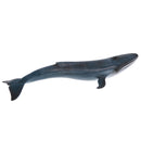 Simulation Animal Whale Models Action Figures Kids Educational Toy Gift Home Ornament Collectibles