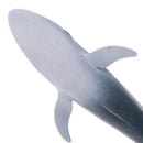 Simulation Animal Whale Models Action Figures Kids Educational Toy Gift Home Ornament Collectibles