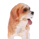 Realistic PVC Animal Dog Model Action Figures Kids Toys Table Ornament
