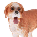 Realistic PVC Animal Dog Model Action Figures Kids Toys Table Ornament