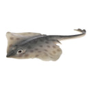 Realistic PVC Animal Skate Fish Model Action Figures Kids Playset Toys