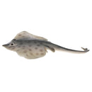 Realistic PVC Animal Skate Fish Model Action Figures Kids Playset Toys