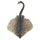 Realistic PVC Animal Skate Fish Model Action Figures Kids Playset Toys