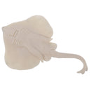 Realistic PVC Animal Skate Fish Model Action Figures Kids Playset Toys
