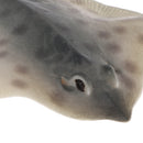 Realistic PVC Animal Skate Fish Model Action Figures Kids Playset Toys