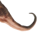 Realistic Lifelike Animal Dinosaur Model Figurine Action Figures Kids Toys