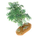 Realistic PVC Tree Models Action Figures Kids Play Fun Playset Toys