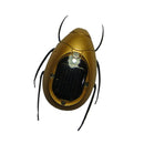Novelty Solar Scarab Sunshine Powered Insects Animals Model Kids Fun Toy