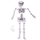 DIY Assembled Human Skeleton Bone Structure Science Experiment Accessories Children Educational Toy
