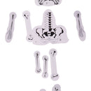 DIY Assembled Human Skeleton Bone Structure Science Experiment Accessories Children Educational Toy