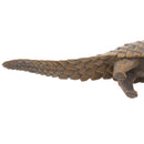 Simulation Wild Animal Model Figurine Action Figures Kids Toy Manis Pentadactyla