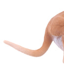 Simulation Animal Model Action Figures Children Educational Toy Play Fun Kangaroo