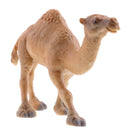 Realistic Animal Model Figurine Action Figures Kids Playset Toy Camel