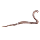 Realistic Animal Snake Model Figurine Action Figures Kids Toy Playset Story Telling Props Collectibles