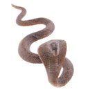 Realistic Animal Snake Model Figurine Action Figures Kids Toy Playset Story Telling Props Collectibles