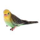 Cute Animal Parrot Model Figurine Action Figures Kids Playset Toy Home Ornament