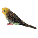 Cute Animal Parrot Model Figurine Action Figures Kids Playset Toy Home Ornament