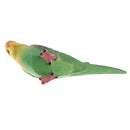 Cute Animal Parrot Model Figurine Action Figures Kids Playset Toy Home Ornament