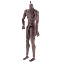 12inch Black Wide Shoulder Muscular Male 1/6 Figure Body for TTM18 TTM19 Headsculpt