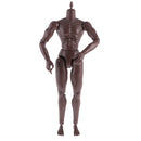 12inch Black Wide Shoulder Muscular Male 1/6 Figure Body for TTM18 TTM19 Headsculpt
