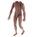 1:6 Scale Tan Action Figure Wide Shoulder Muscular without Neck Body for TTM18 TTM19 Hot Toys