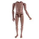 1:6 Scale Tan Action Figure Wide Shoulder Muscular without Neck Body for TTM18 TTM19 Hot Toys
