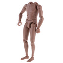 1:6 Scale Tan Action Figure Wide Shoulder Muscular without Neck Body for TTM18 TTM19 Hot Toys