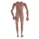 1:6 Scale Tan Action Figure Wide Shoulder Muscular without Neck Body for TTM18 TTM19 Hot Toys