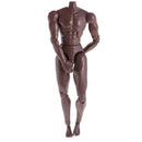 12inch Black Wide Shoulder Muscular Male 1/6 Figure Body for TTM18 TTM19 Headsculpt
