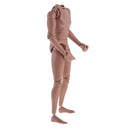 1:6 Scale Action Figure Wide Shoulder Muscular without Neck Body for TTM18 TTM19 Hot Toys