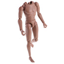 1:6 Scale Action Figure Wide Shoulder Muscular without Neck Body for TTM18 TTM19 Hot Toys