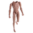1:6 Scale Action Figure Wide Shoulder Muscular without Neck Body for TTM18 TTM19 Hot Toys