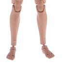 1:6 Scale Action Figure Wide Shoulder Muscular without Neck Body for TTM18 TTM19 Hot Toys