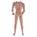 1:6 Scale Action Figure Wide Shoulder Muscular without Neck Body for TTM18 TTM19 Hot Toys