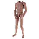 1:6 Scale Action Figure Wide Shoulder Muscular without Neck Body for TTM18 TTM19 Hot Toys
