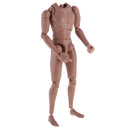 1:6 Scale Action Figure Wide Shoulder Muscular without Neck Body for TTM18 TTM19 Hot Toys