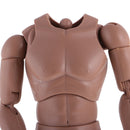 1:6 Scale Action Figure Wide Shoulder Muscular without Neck Body for TTM18 TTM19 Hot Toys