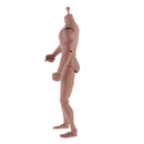 12inch Wide Shoulder Muscular Male 1/6 Figure Body wi/ Neck for TTM18 TTM19 Headsculpt