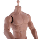 12inch Wide Shoulder Muscular Male 1/6 Figure Body wi/ Neck for TTM18 TTM19 Headsculpt