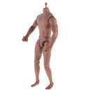12inch Wide Shoulder Muscular Male 1/6 Figure Body wi/ Neck for TTM18 TTM19 Headsculpt