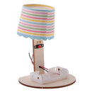 Novelty DIY Small Night Lamp Model Building Kits Science Educational Kid Toy