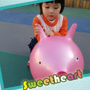 Cartoon Pig Jump Bounce Space Hopper Ball Kids Outdoor Toy Inflatable 18"